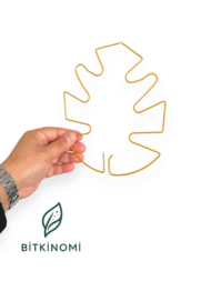 Monstera Bitki Destekleyici – Metal Bitki Tutucu