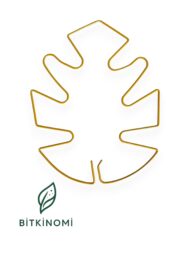 Monstera Bitki Destekleyici – Metal Bitki Tutucu - Görsel 3